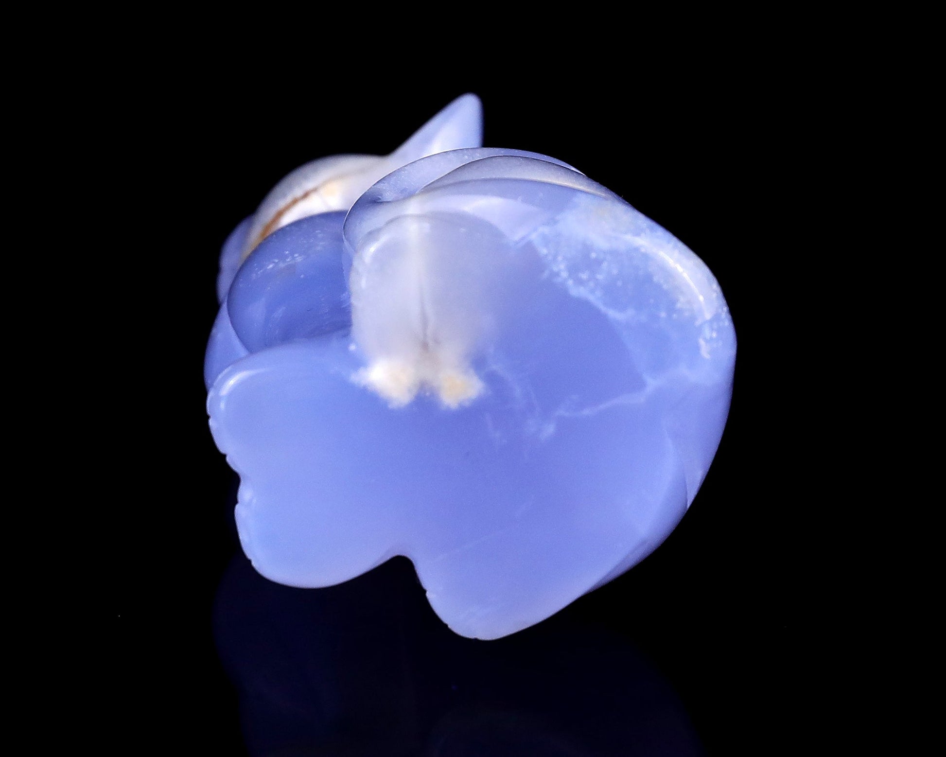 Nicedony 2.9" Blue Chalcedony Hand Carved Crystal Cat Sculpture - View 18