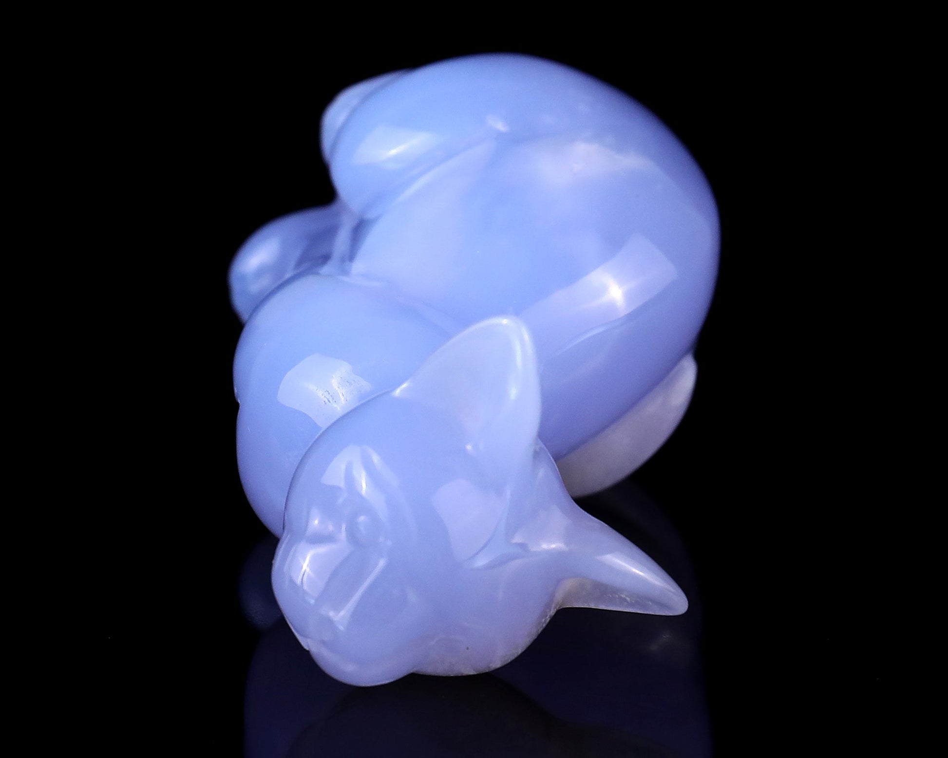 Nicedony 2.9" Blue Chalcedony Hand Carved Crystal Cat Sculpture - View 19