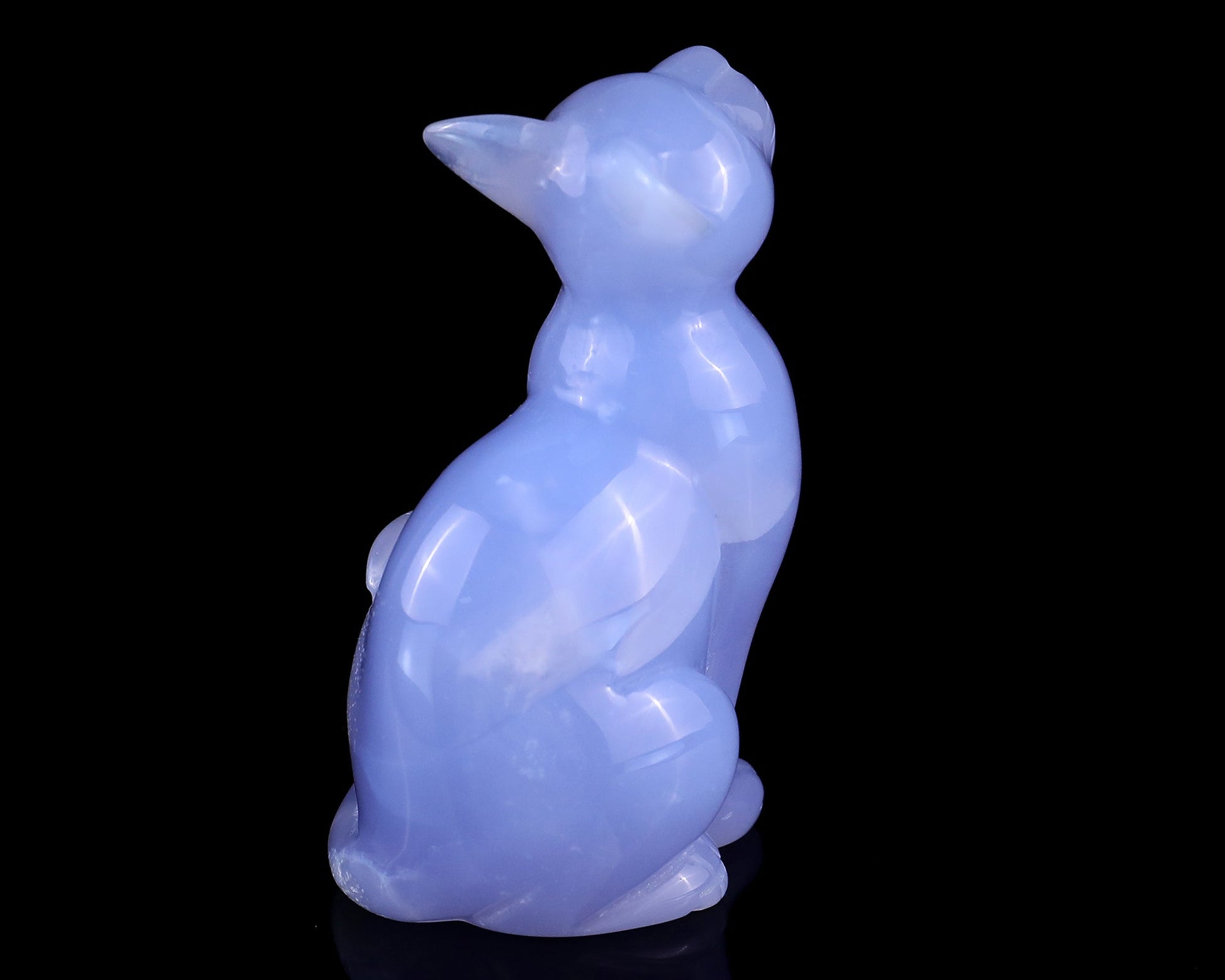Nicedony 2.9" Blue Chalcedony Hand Carved Crystal Cat Sculpture - View 14