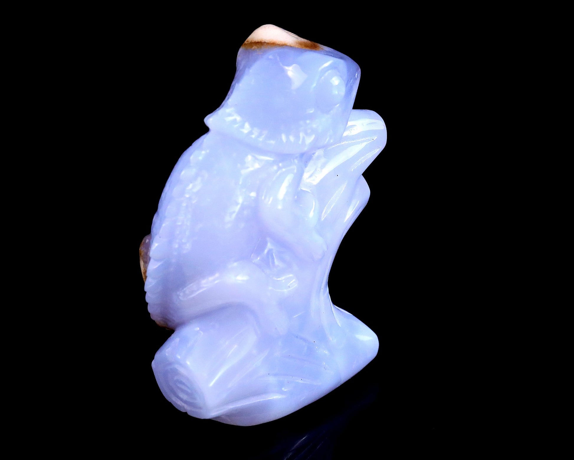 Nicedony 2.9" Blue Chalcedony Hand Carved Crystal Lizard Sculpture - View 4