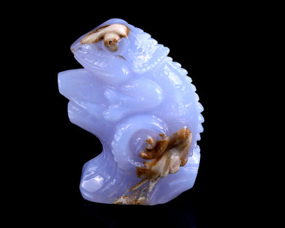 Nicedony 2.9" Blue Chalcedony Hand Carved Crystal Lizard Sculpture - View 7