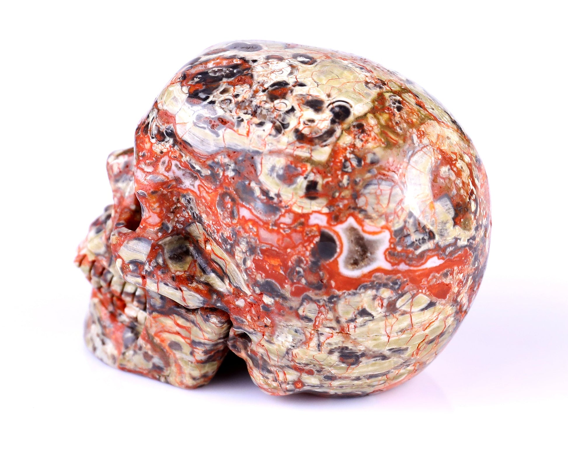 Nicedony 2.9" Coin Agate Hand Carved Realistic Skull Sculpture - View 6