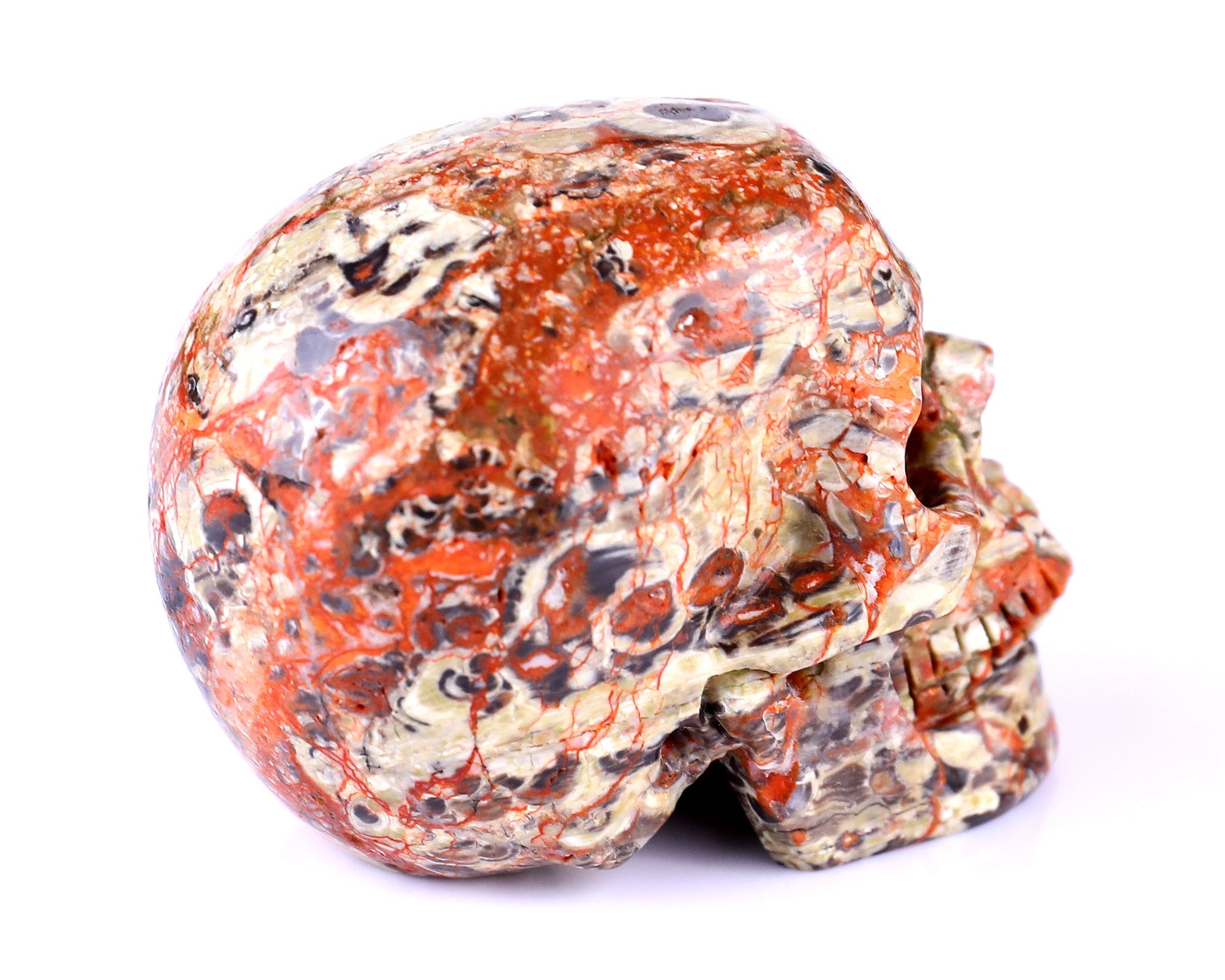 Nicedony 2.9" Coin Agate Hand Carved Realistic Skull Sculpture - View 4