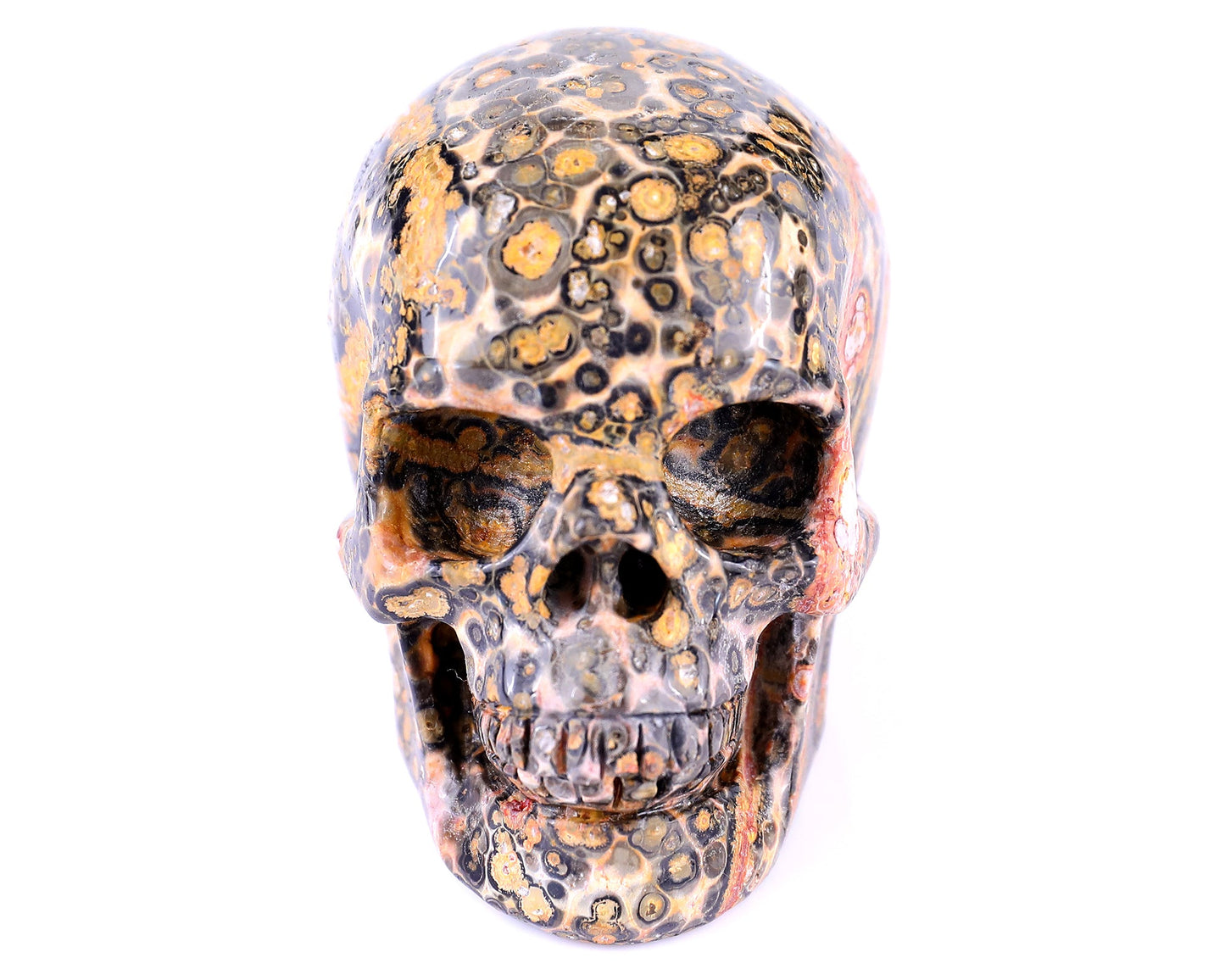Nicedony 2.9" Leopard Skin Jasper Hand Carved Realistic Skull - View 2