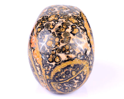 Nicedony 2.9" Leopard Skin Jasper Hand Carved Realistic Skull - View 5