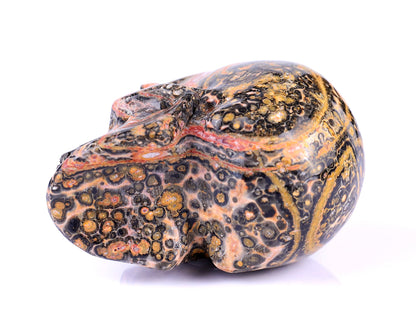 Nicedony 2.9" Leopard Skin Jasper Hand Carved Realistic Skull - View 8