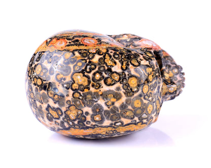 Nicedony 2.9" Leopard Skin Jasper Hand Carved Realistic Skull - View 9