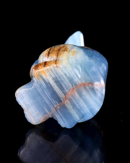 Nicedony 2.9" Natural Blue Onyx Hand Carved Crystal Cat Sculpture - View 19
