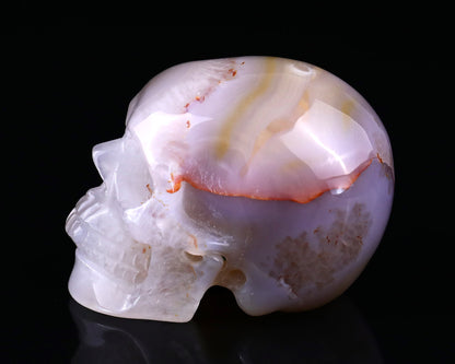 Nicedony 3.0" Agate Hand Carved Crystal Realistic Skull Sculpture - View 4
