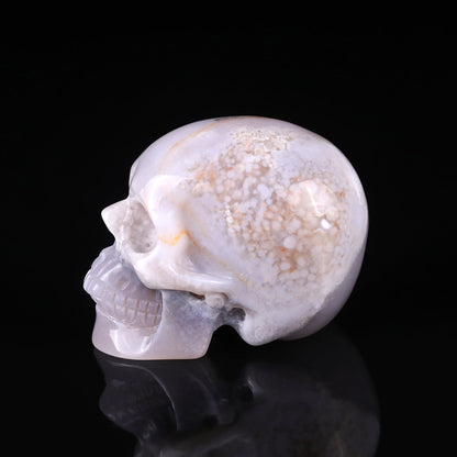 Nicedony 3.0" Agate Hand Carved Crystal Realistic Skull Sculpture - View 18