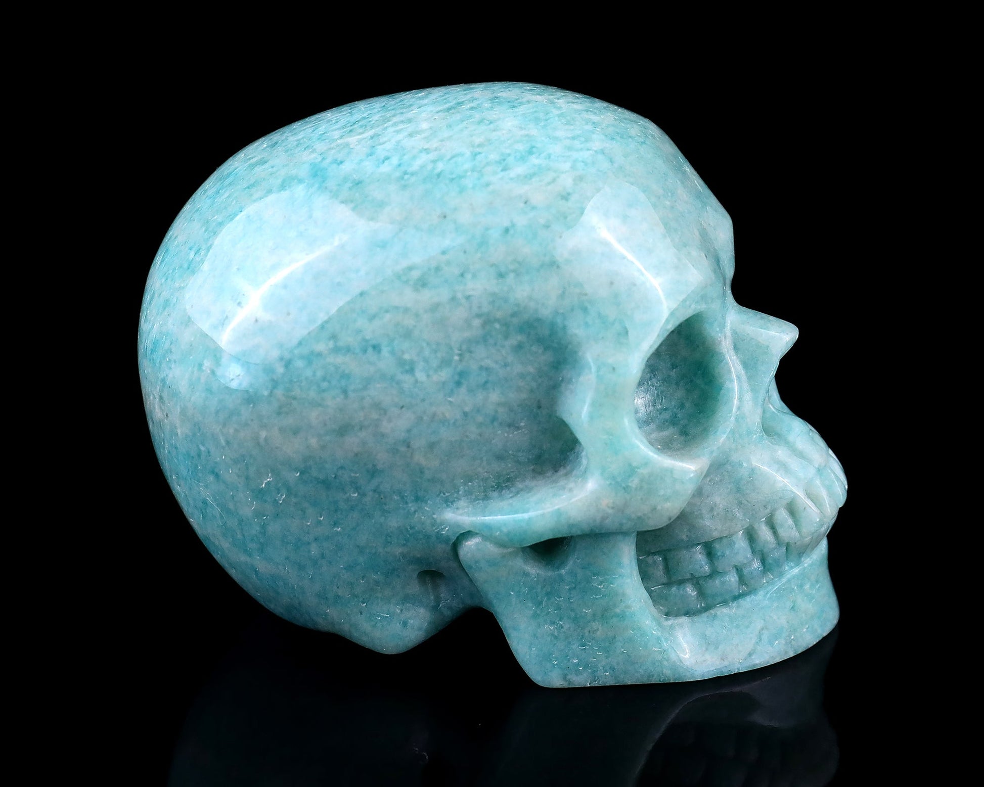 Nicedony 3.0" Amazonite Hand Carved Crystal Realistic Skull Sculpture - View 3