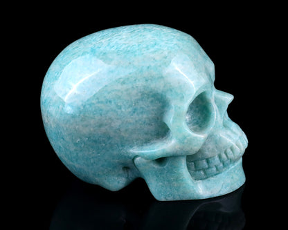 Nicedony 3.0" Amazonite Hand Carved Crystal Realistic Skull Sculpture - View 3