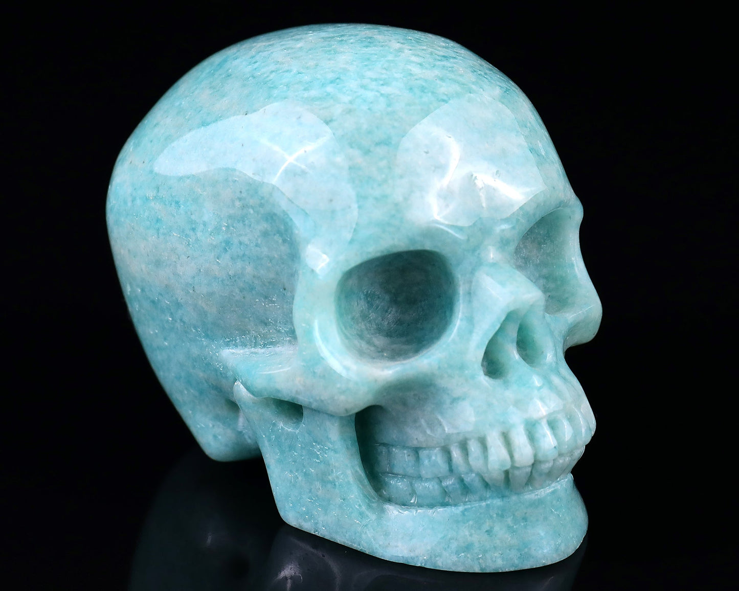 Nicedony 3.0" Amazonite Hand Carved Crystal Realistic Skull Sculpture - #5100090