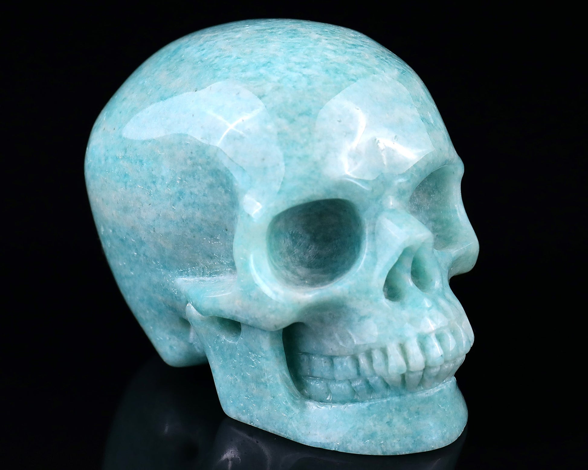Nicedony 3.0" Amazonite Hand Carved Crystal Realistic Skull Sculpture - #5100090