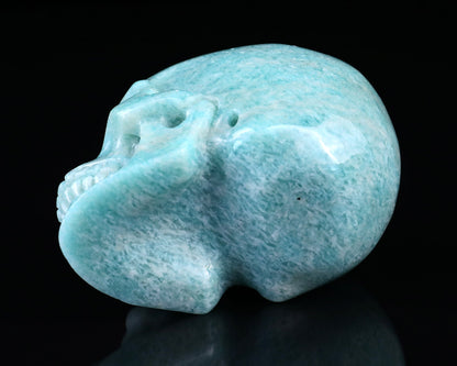 Nicedony 3.0" Amazonite Hand Carved Crystal Realistic Skull Sculpture - View 6