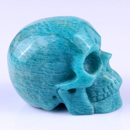 Nicedony 3.0" Amazonite Hand Carved Crystal Realistic Skull Sculpture - View 10