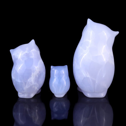 Nicedony 3.0" Blue Chalcedony Hand Carved Crystal Owl’s Family Sculpture - View 7