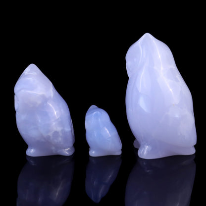 Nicedony 3.0" Blue Chalcedony Hand Carved Crystal Owl’s Family Sculpture - View 5