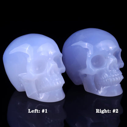 Nicedony 3.0" Blue Chalcedony Hand Carved Realistic Skull Sculpture - 2