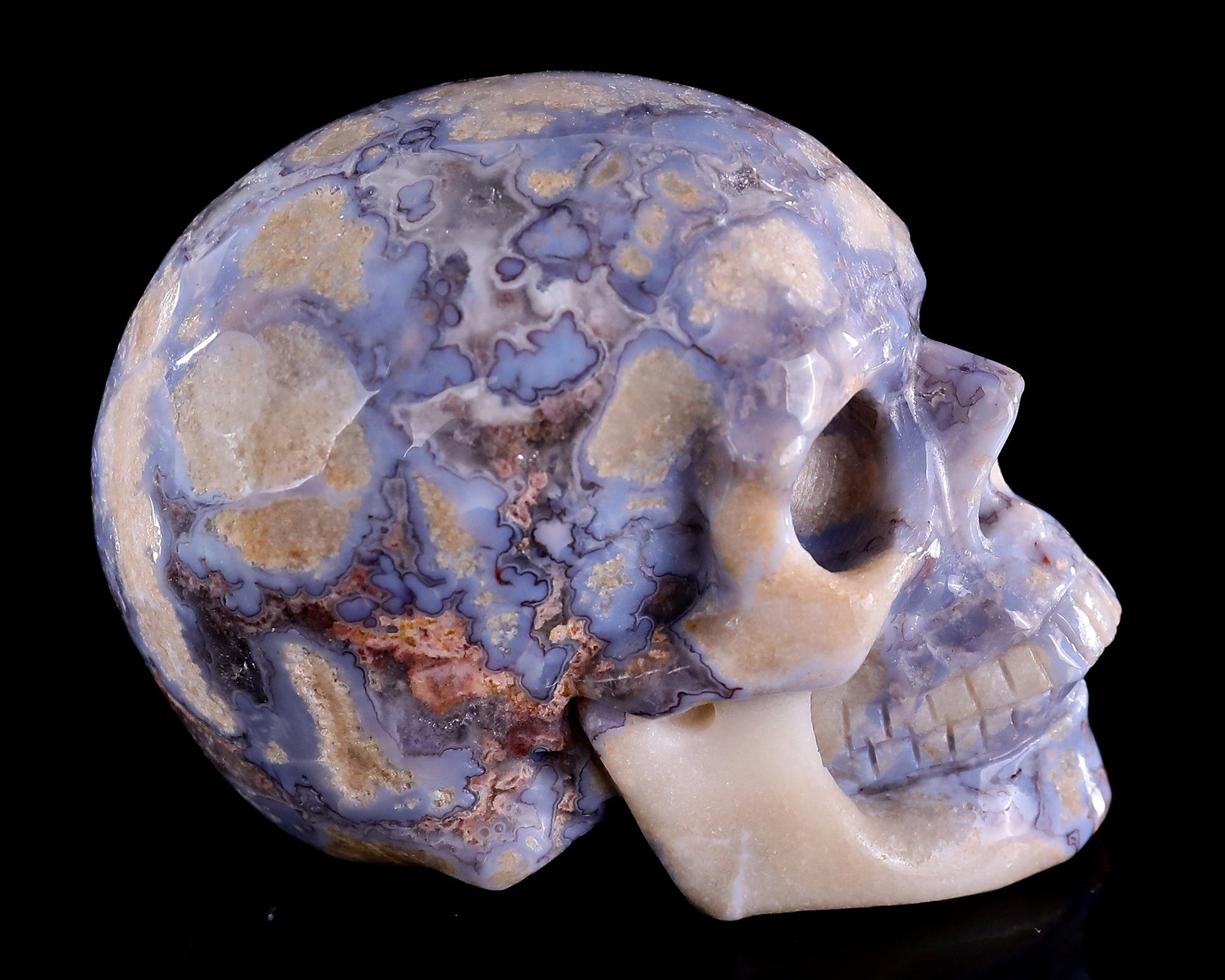 Nicedony 3.0" Blue Sakura Agate Hand Carved Realistic Skull Sculpture