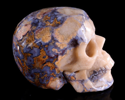 Nicedony 3.0" Blue Sakura Agate Hand Carved Crystal Realistic Skull Sculpture