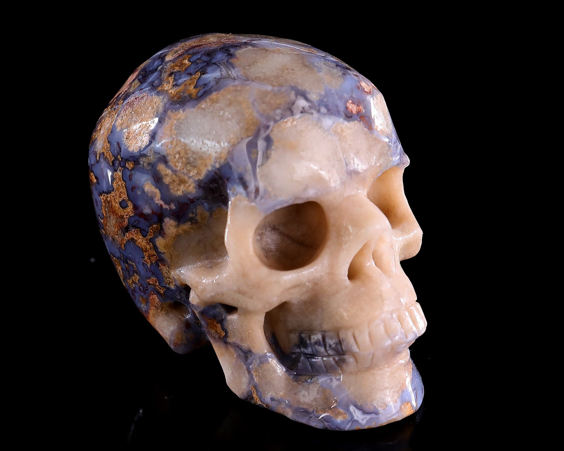 Nicedony 3.0" Blue Sakura Agate Hand Carved Crystal Realistic Skull Sculpture - View 3