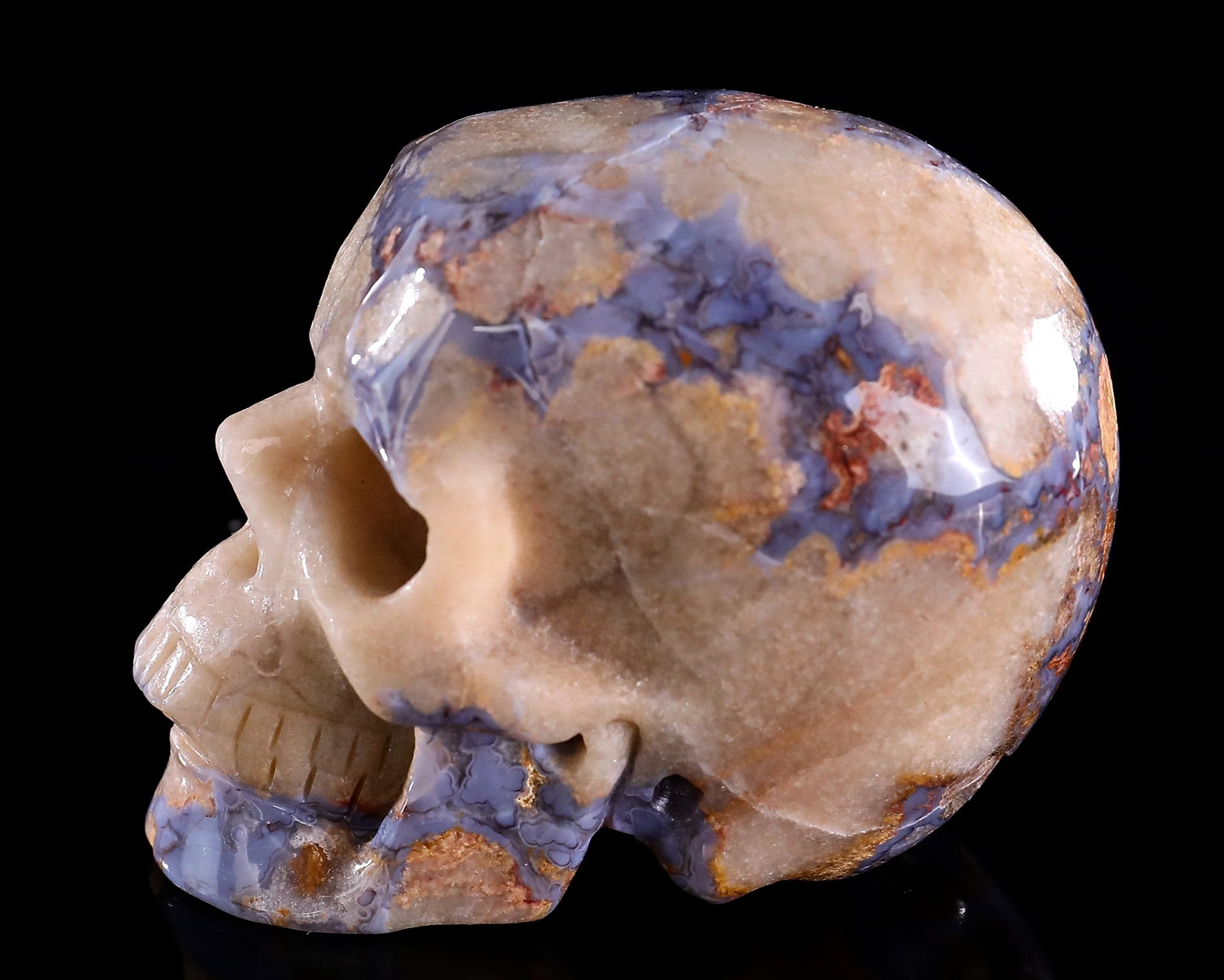 Nicedony 3.0" Blue Sakura Agate Hand Carved Crystal Realistic Skull Sculpture - View 5