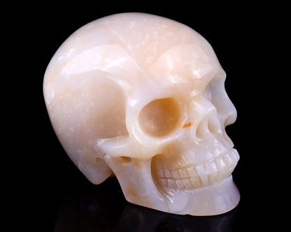 Nicedony 3.0" Chalcedony Hand Carved Realistic Skull Sculpture