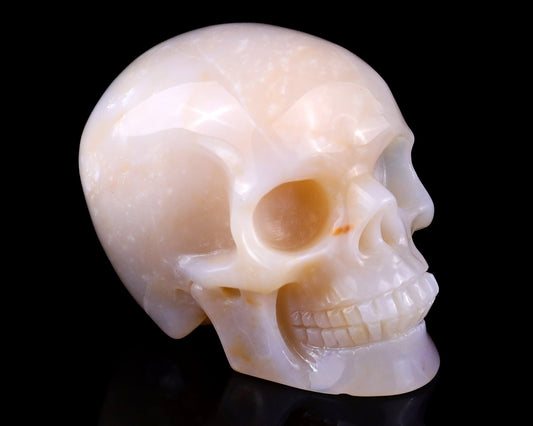 Nicedony 3.0" Chalcedony Hand Carved Realistic Skull Sculpture