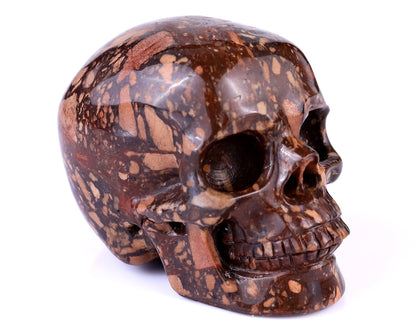 Nicedony 3.0" Coffee Stone Hand Carved Realistic Skull Sculpture
