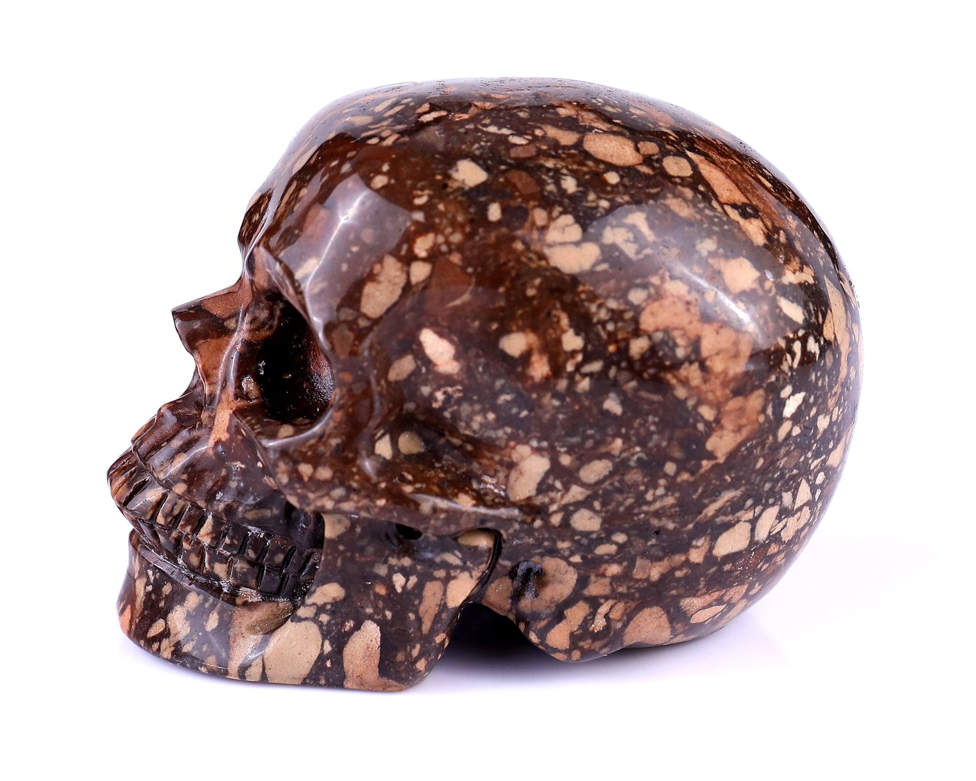 Nicedony 3.0" Coffee Stone Hand Carved Realistic Skull Sculpture - View 4