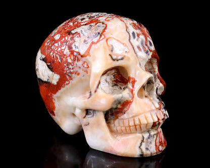 Nicedony 3.0" Coin Agate Hand Carved Realistic Skull Sculpture