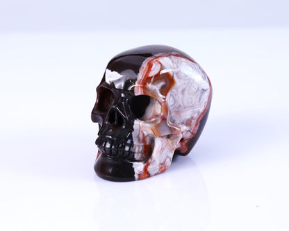 Nicedony 3.0" Lace Crazy Agate Hand Carved Realistic Skull Sculpture - View 10