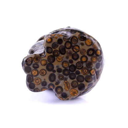 Nicedony 3.0" Leopard Skin Jasper Hand Carved Crystal Cat Sculpture - View 6