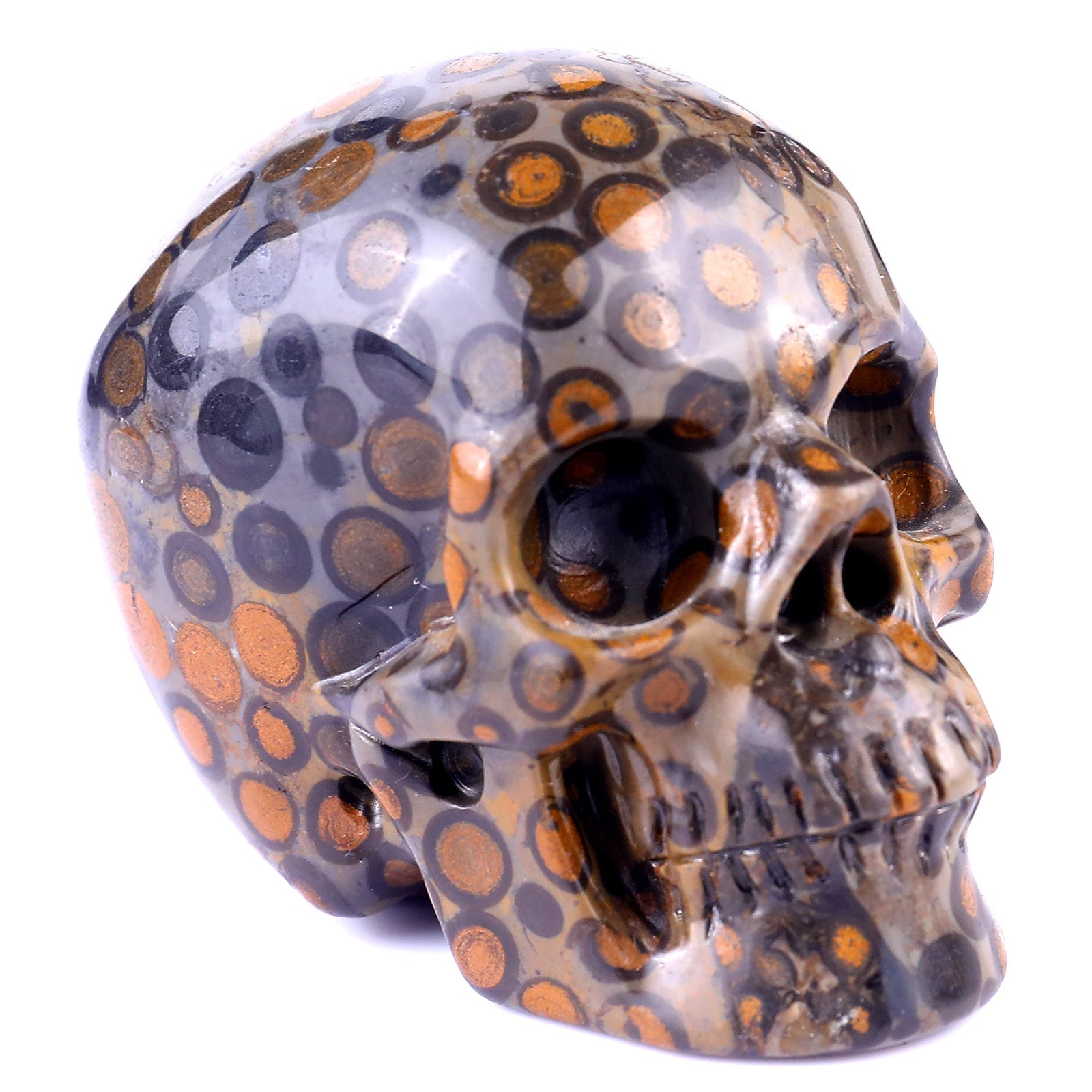 Nicedony 3.0" Leopard Skin Jasper Hand Carved Realistic Skull