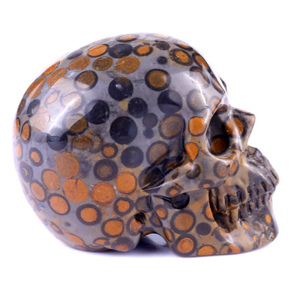 Nicedony 3.0" Leopard Skin Jasper Hand Carved Realistic Skull - View 3