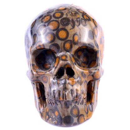 Nicedony 3.0" Leopard Skin Jasper Hand Carved Realistic Skull - View 2