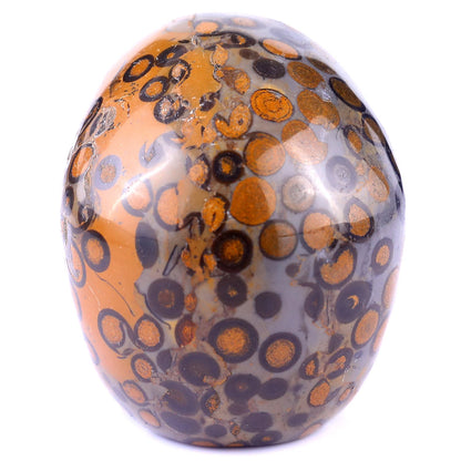 Nicedony 3.0" Leopard Skin Jasper Hand Carved Realistic Skull - View 6