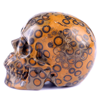 Nicedony 3.0" Leopard Skin Jasper Hand Carved Realistic Skull - View 4