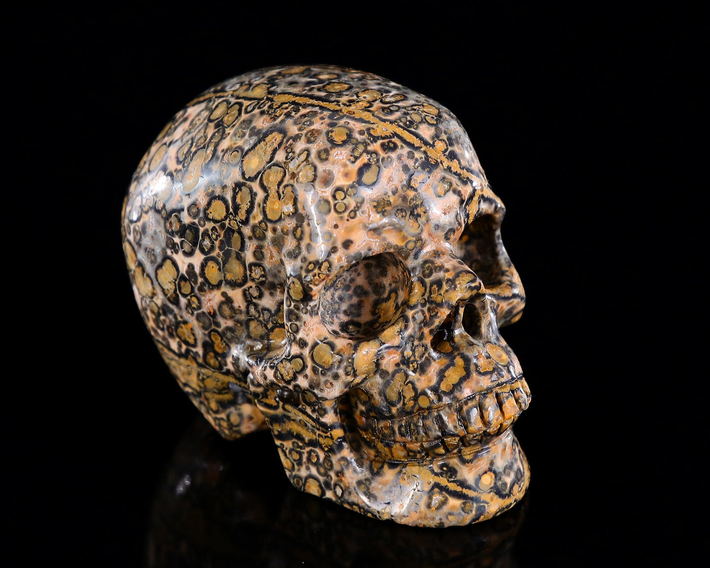 Nicedony 3.0" Leopard Skin Jasper Hand Carved Crystal Skull Sculpture - View 3
