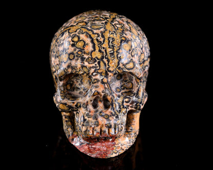 Nicedony 3.0" Leopard Skin Jasper Hand Carved Crystal Skull Sculpture - View 10