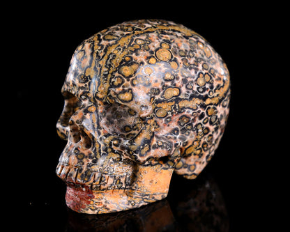 Nicedony 3.0" Leopard Skin Jasper Hand Carved Crystal Skull Sculpture - View 13
