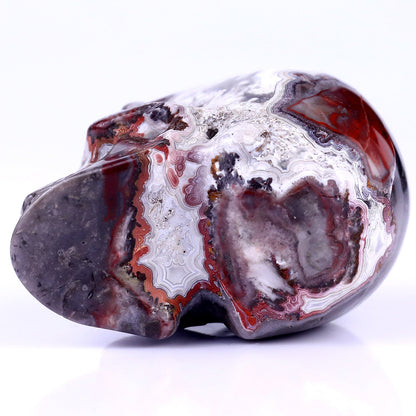 Nicedony 3.0" Red Crazy Lace Agate Hand Carved Geode Skull Sculpture - View 5