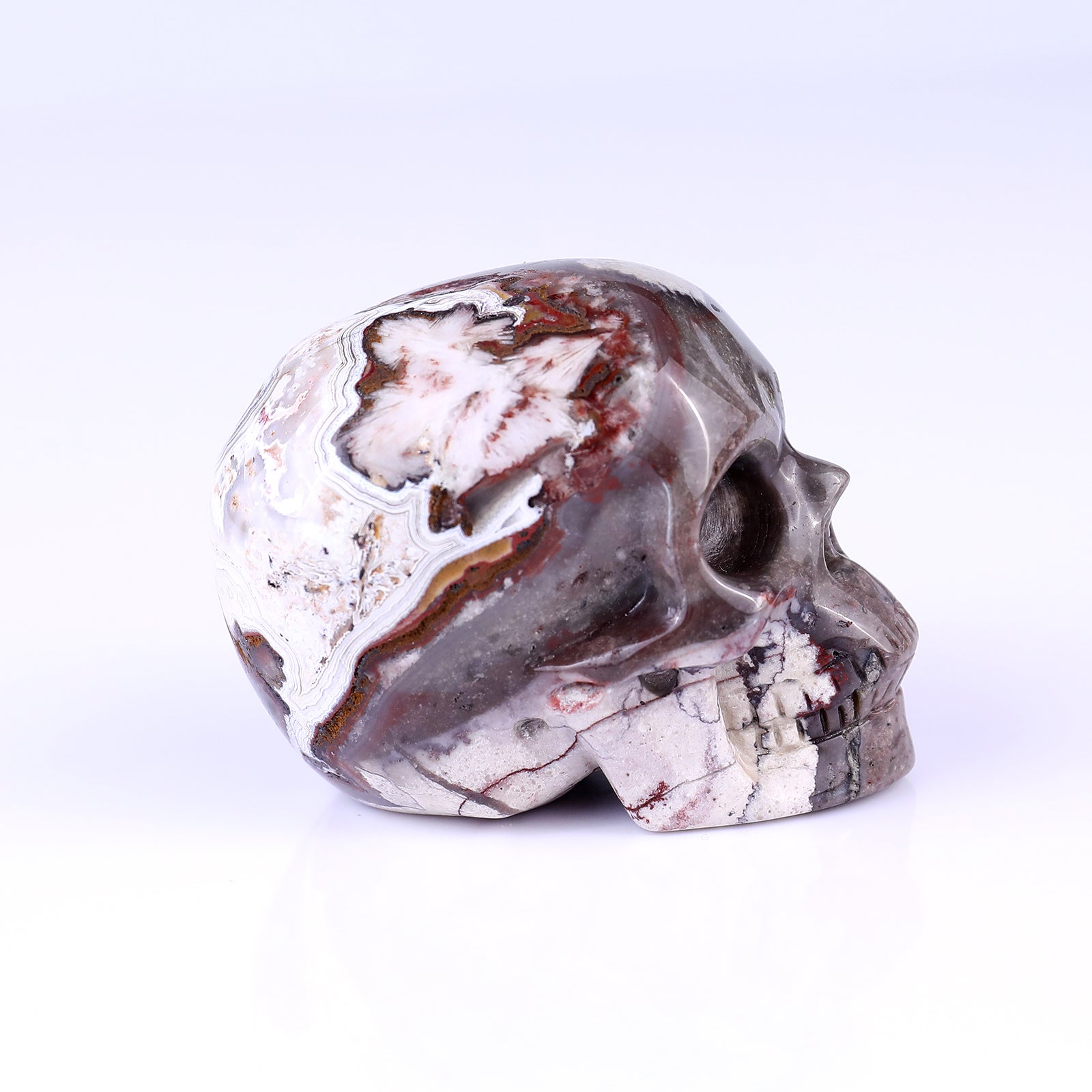 Nicedony 3.0" Red Crazy Lace Agate Hand Carved Realistic Skull - View 30