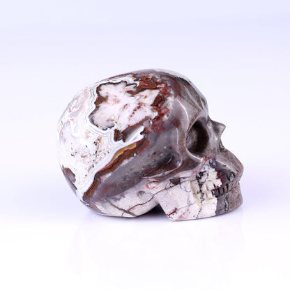 Nicedony 3.0" Red Crazy Lace Agate Hand Carved Realistic Skull - View 30