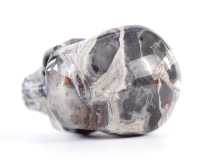 Nicedony 3.0" Red Crazy Lace Agate Hand Carved Realistic Skull - View 5