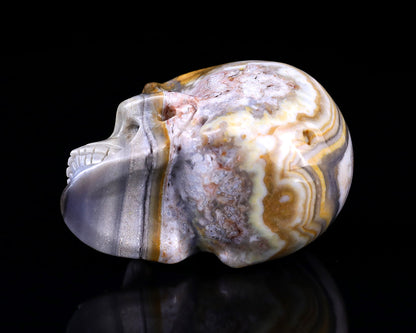 Nicedony 3.0" Red Crazy Lace Agate Hand Carved Realistic Skull - View 19