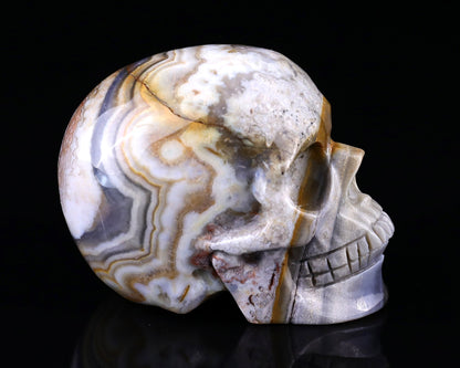 Nicedony 3.0" Red Crazy Lace Agate Hand Carved Realistic Skull - View 15