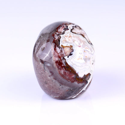Nicedony 3.0" Red Crazy Lace Agate Hand Carved Realistic Skull - View 32