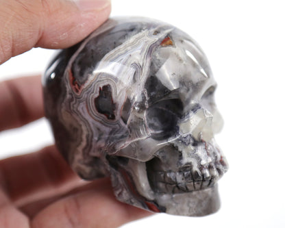 Nicedony 3.0" Red Crazy Lace Agate Hand Carved Realistic Skull - View 9